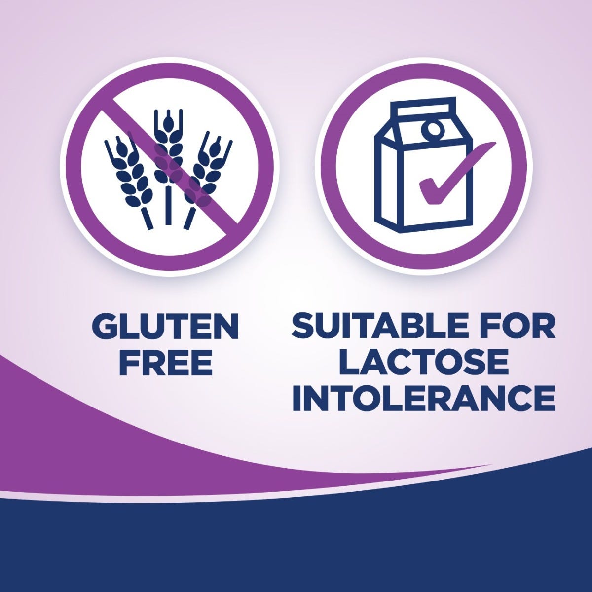 Ensure High Protein Nutrition Shake / Creamy Caramel / 8 fl oz bottle